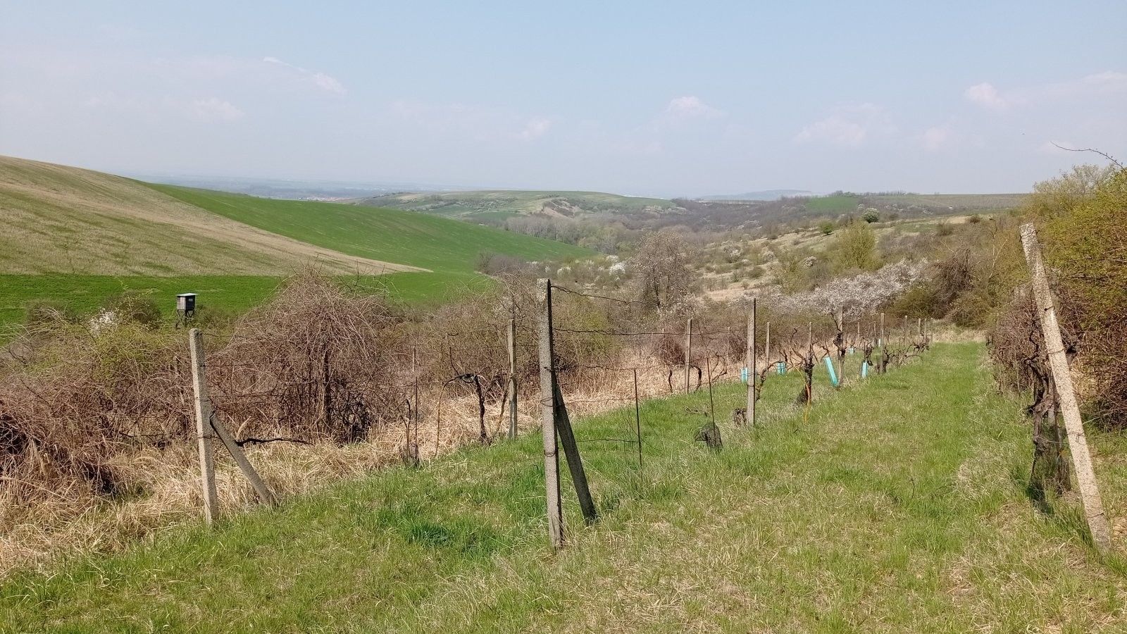 Prodej nemovitosti 6023 m² - foto 5