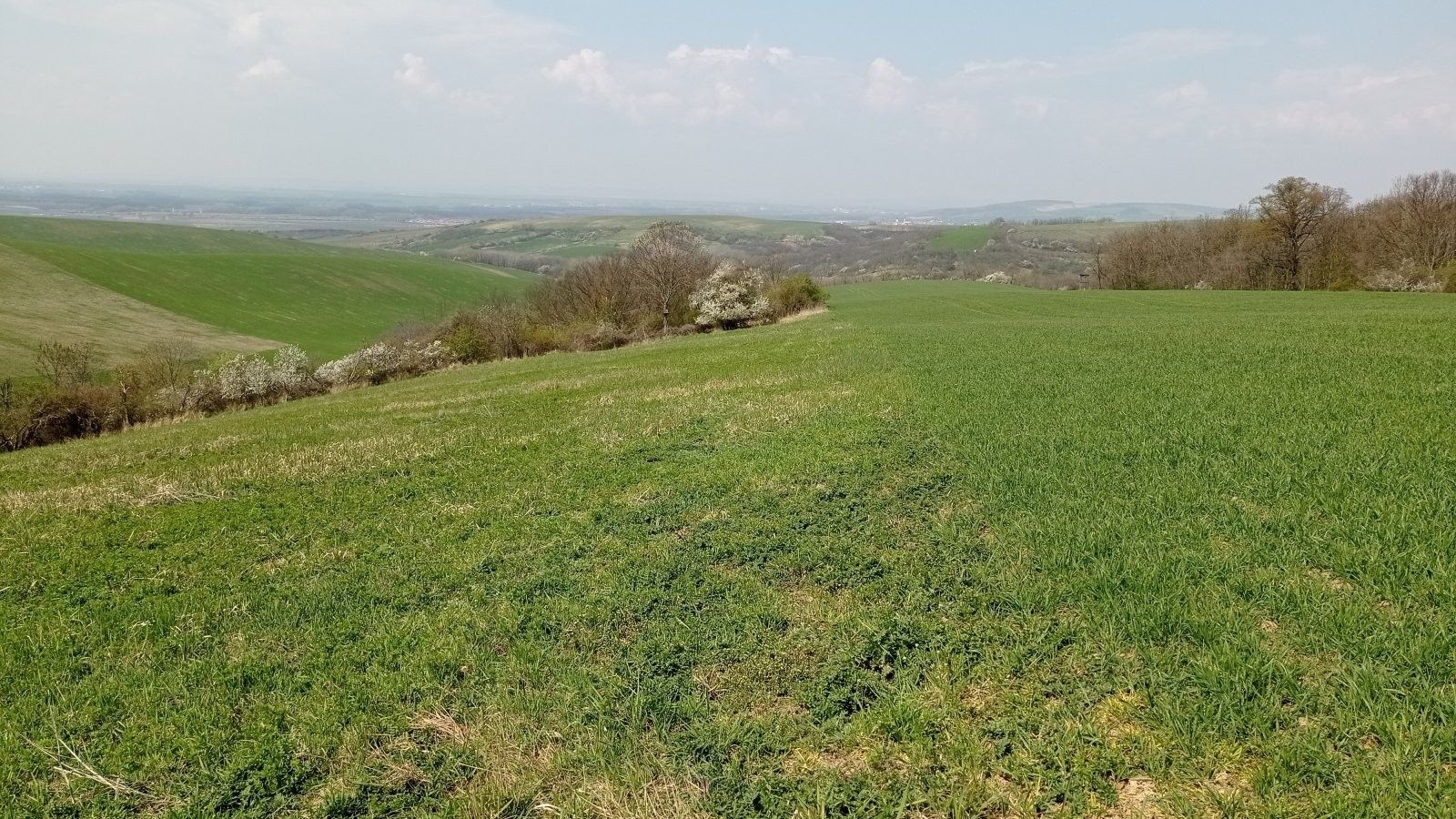 Prodej nemovitosti 6023 m² - foto 6