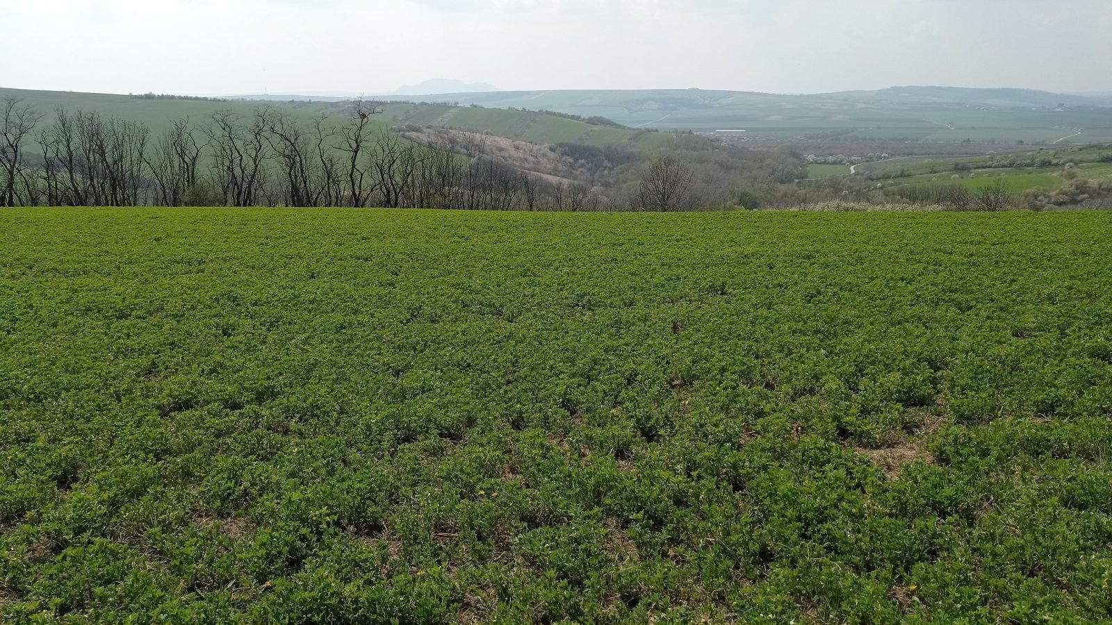 Prodej nemovitosti 6023 m² - foto 8