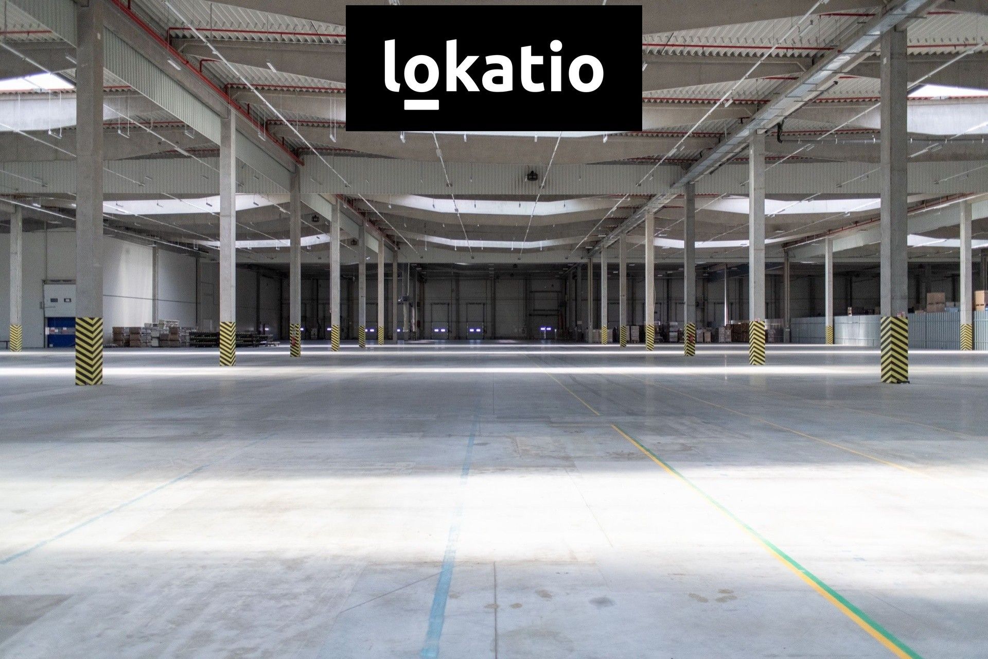 Pronájem komerčního prostoru 5000 m² - foto 3
