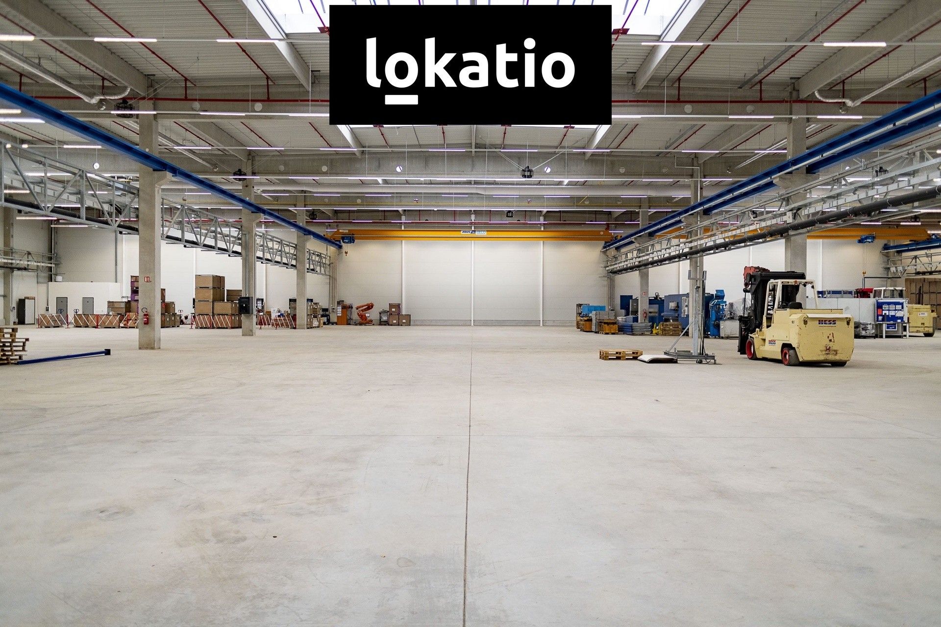 Pronájem komerčního prostoru 5000 m² - foto 4