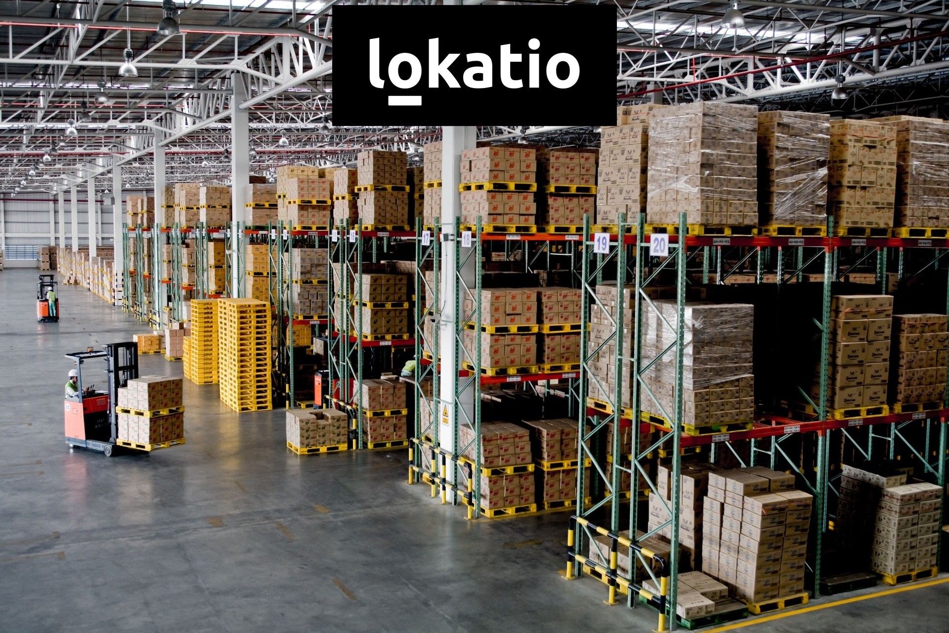 Pronájem komerčního prostoru 5000 m² - foto 6