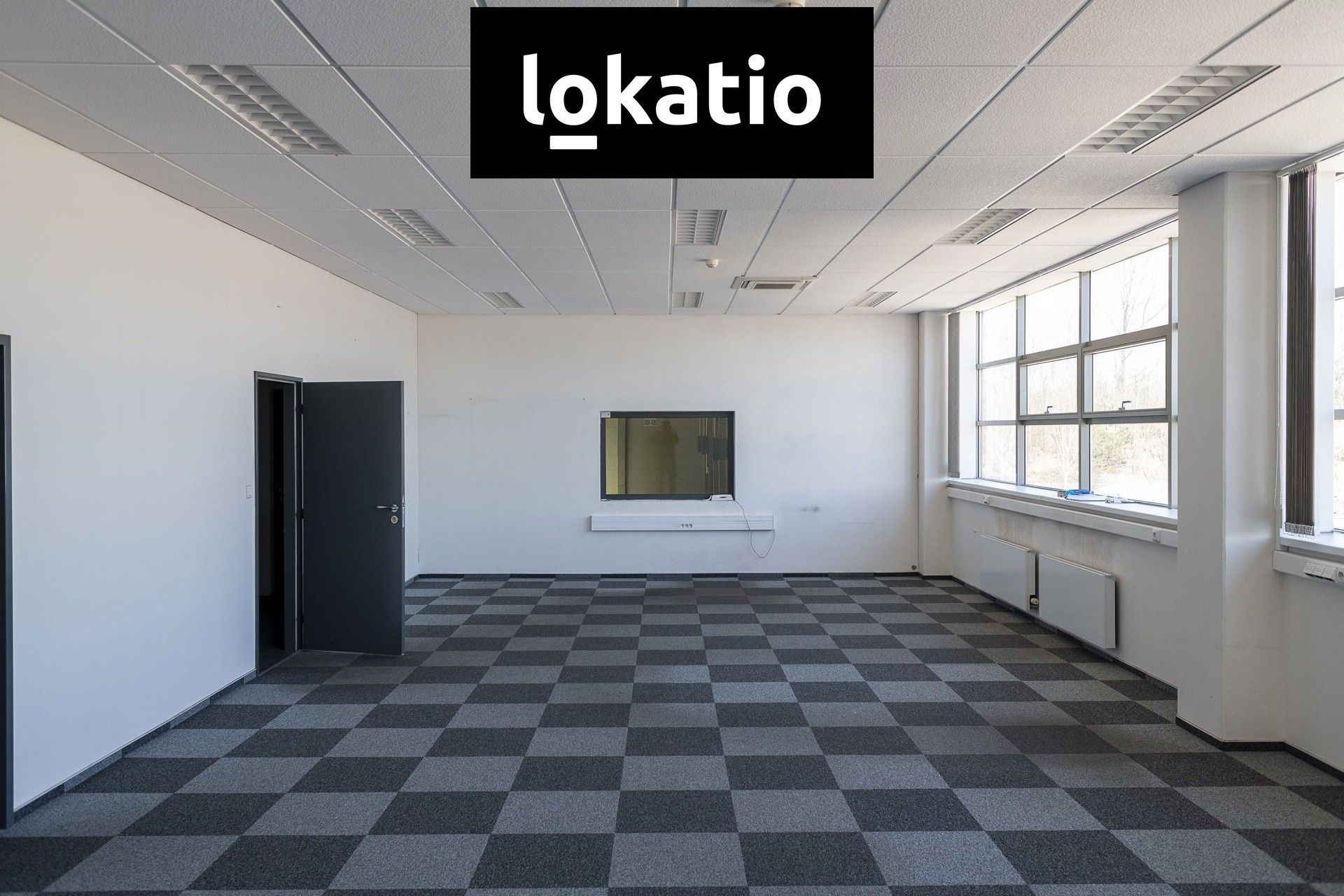 Pronájem komerčního prostoru 14000 m² - foto 4