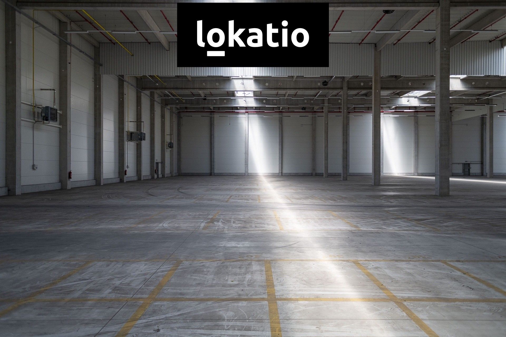 Pronájem komerčního prostoru 5000 m² - foto 8