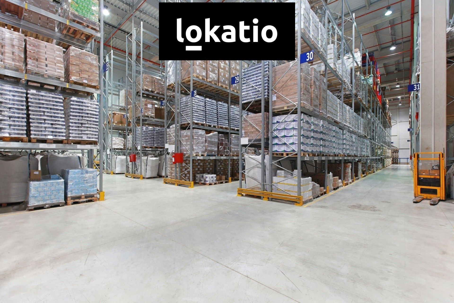 Pronájem komerčního prostoru 5000 m² - foto 9