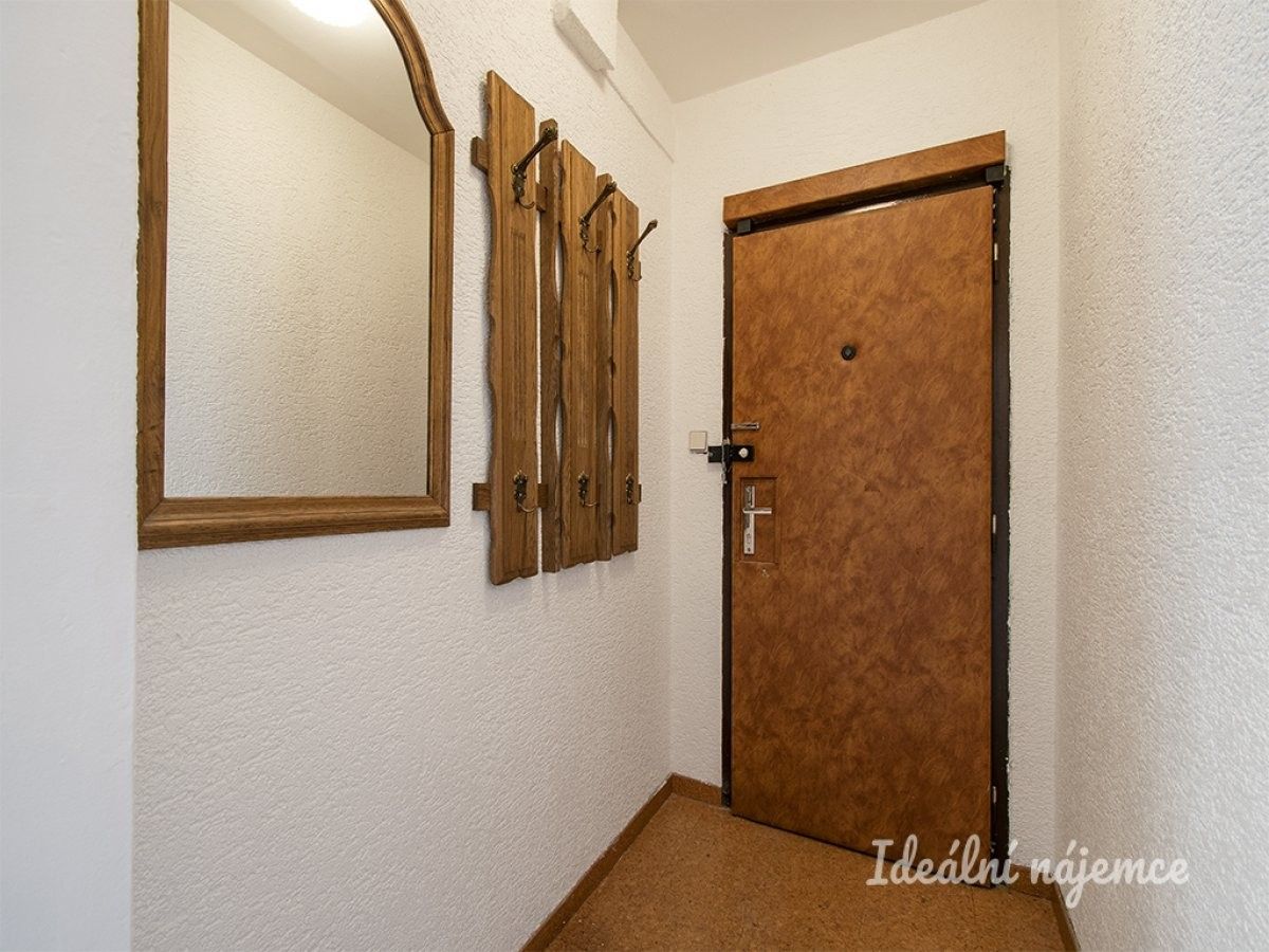 Pronájem bytu 3+kk 65 m² - foto 14