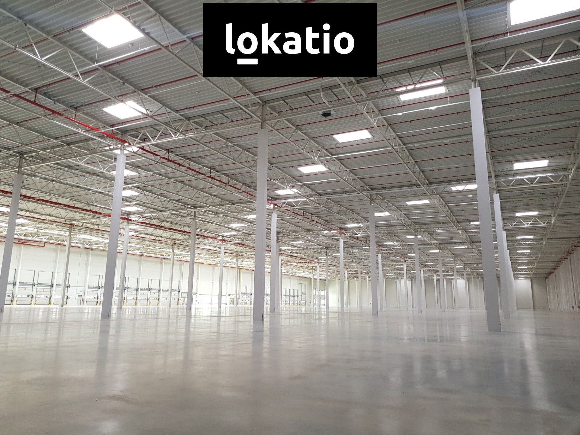 Pronájem komerčního prostoru 5061 m² - foto 4