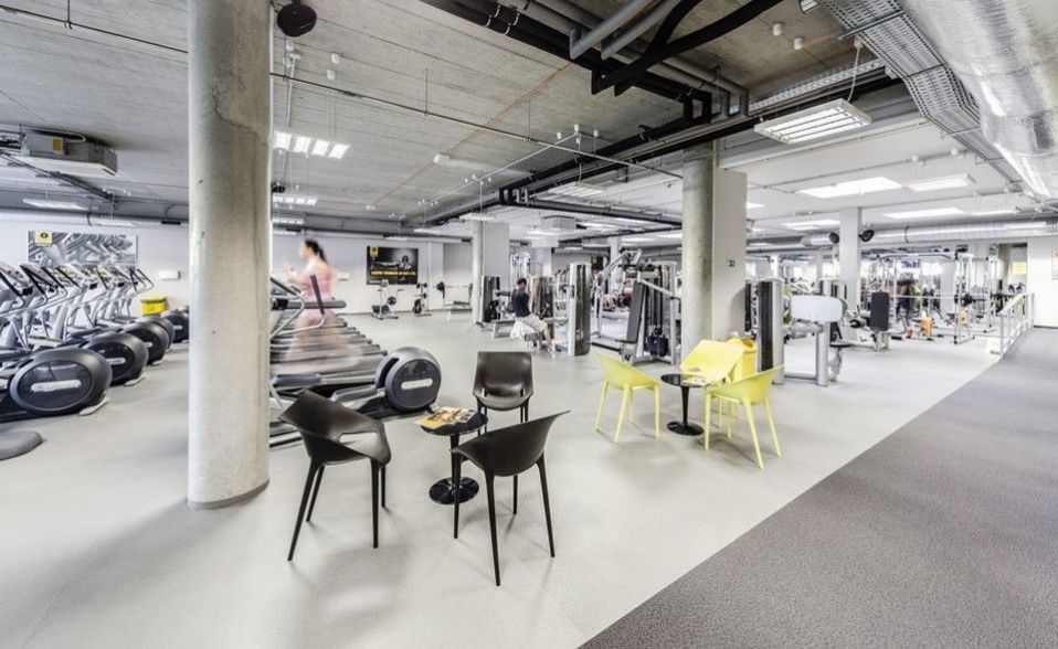 Pronájem komerčního prostoru 239 m² - foto 8