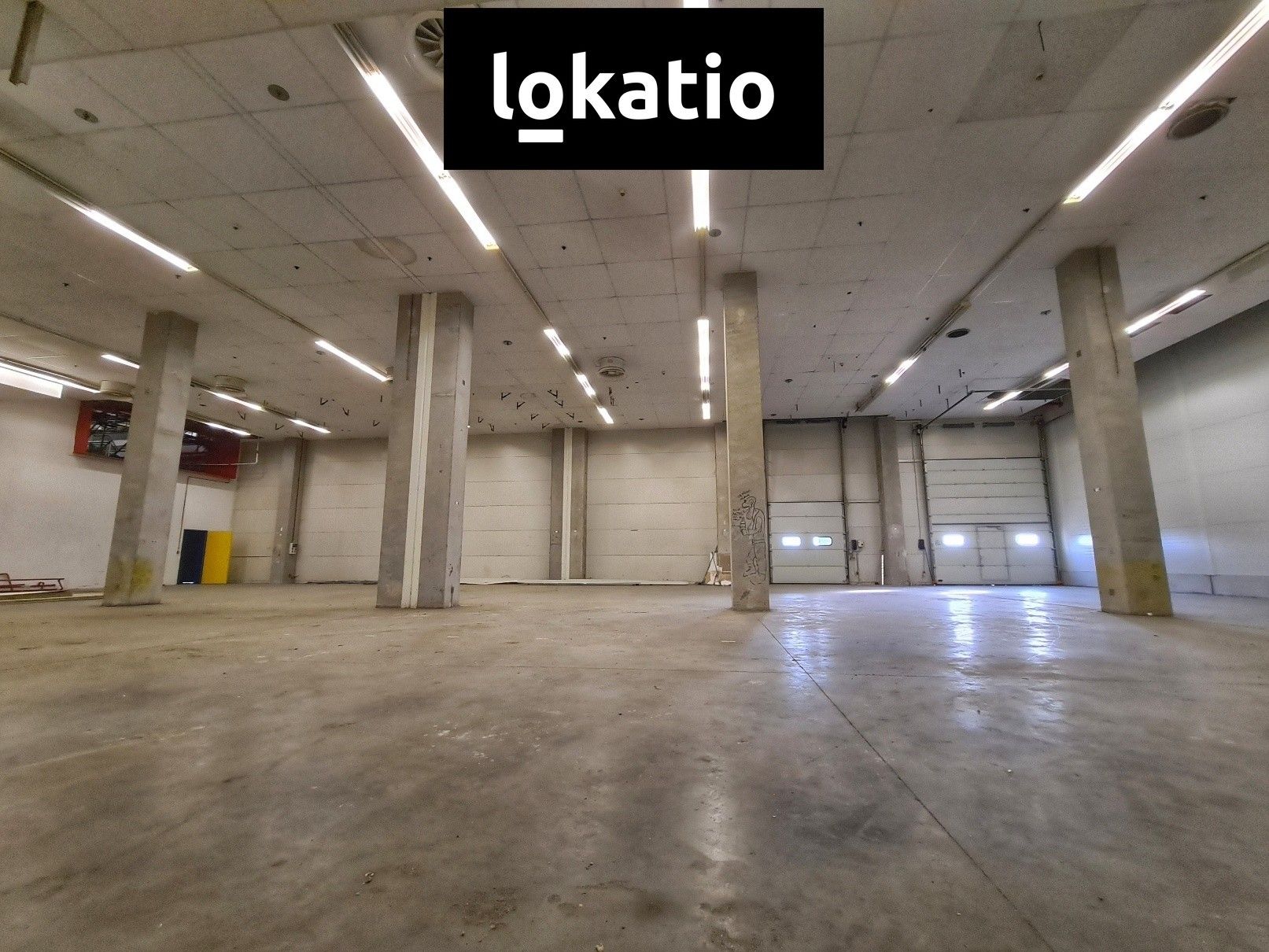 Pronájem komerčního prostoru 1579 m² - foto 5