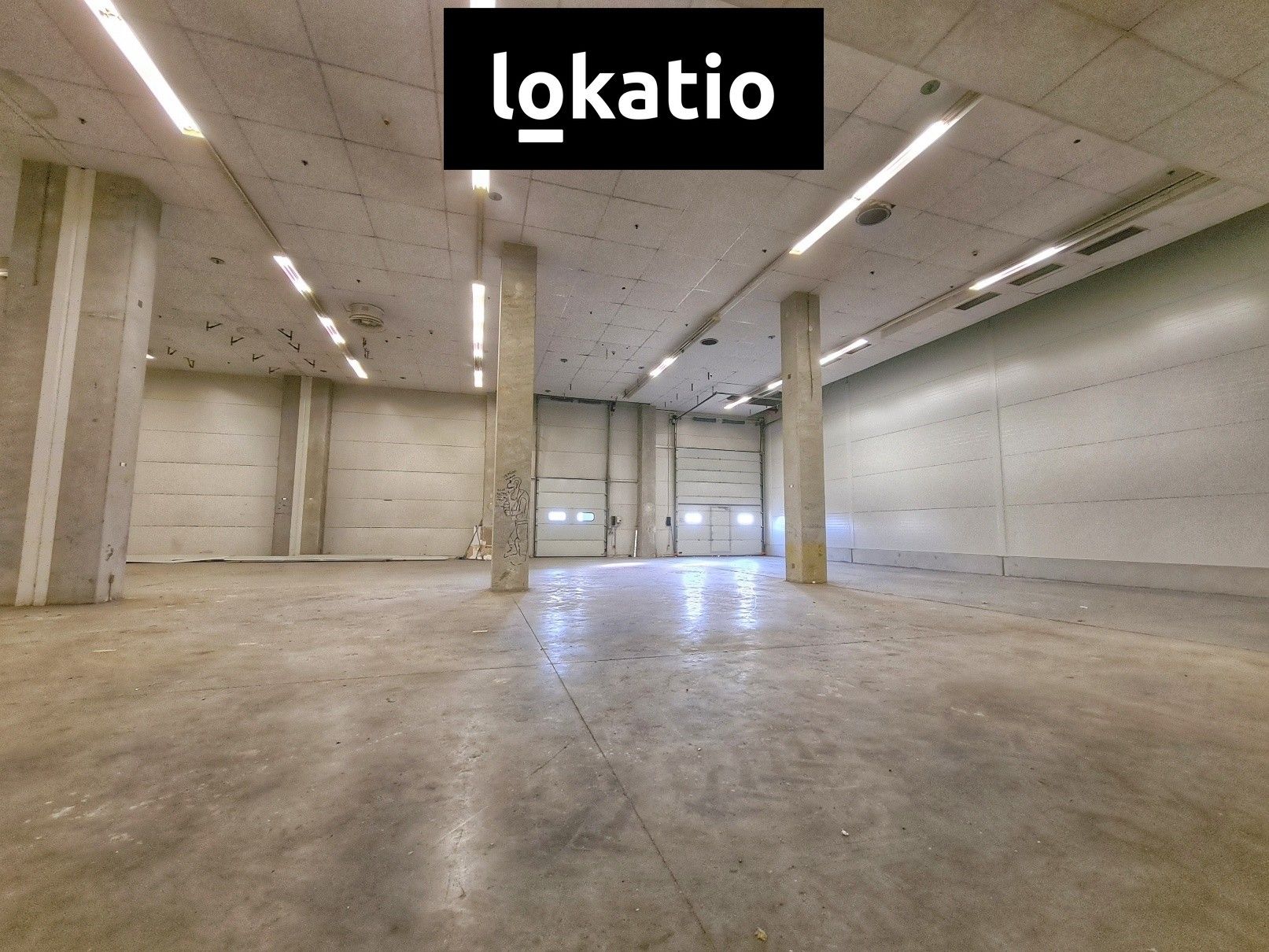 Pronájem komerčního prostoru 1579 m² - foto 4