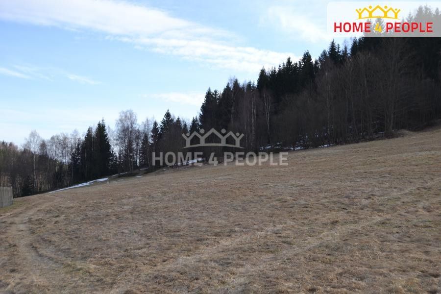 Prodej pozemku 9092 m² - foto 6