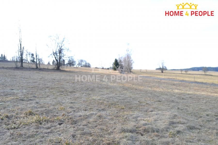 Prodej pozemku 9092 m² - foto 5