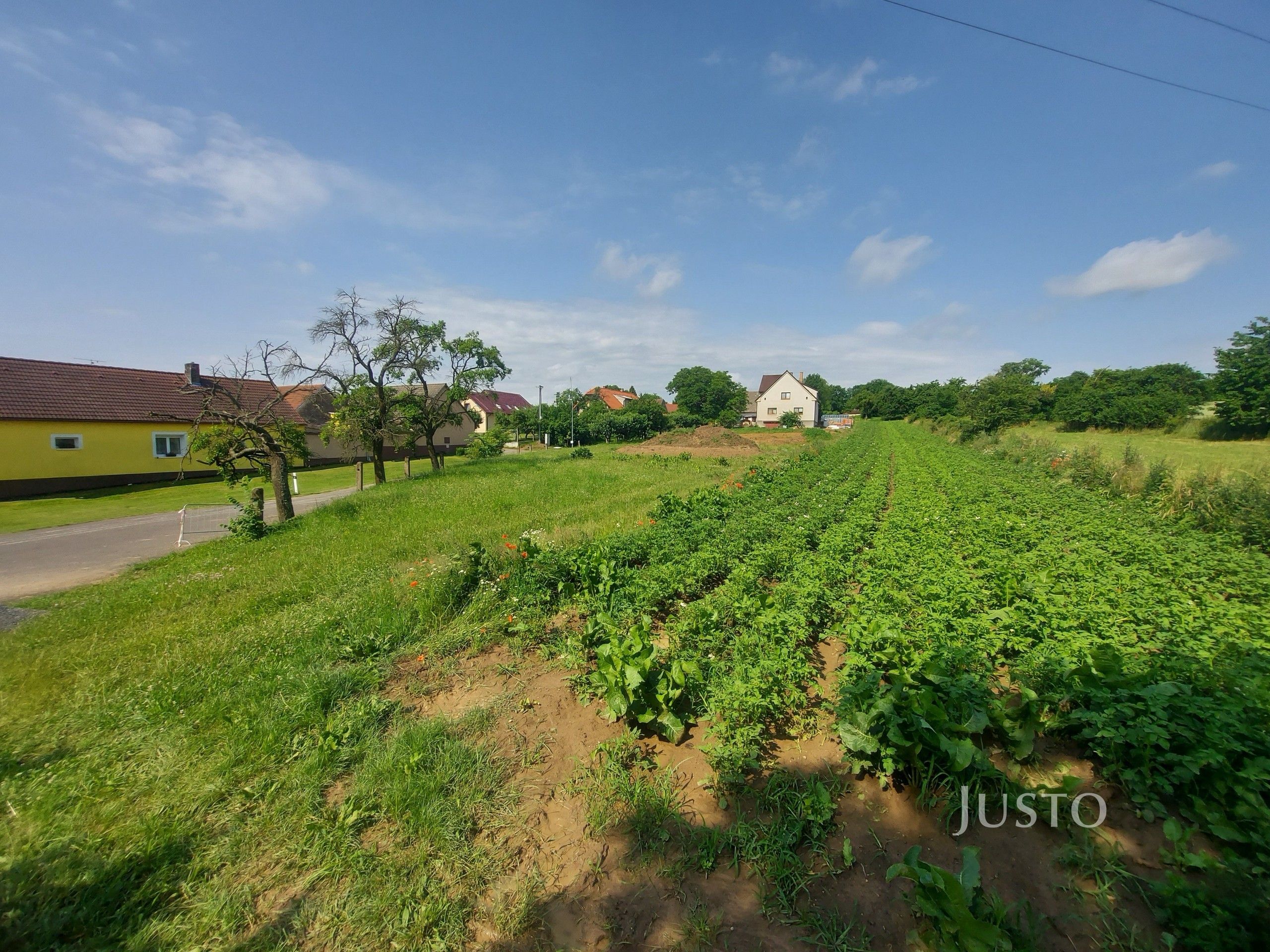 Prodej pozemku 2918 m² - foto 10