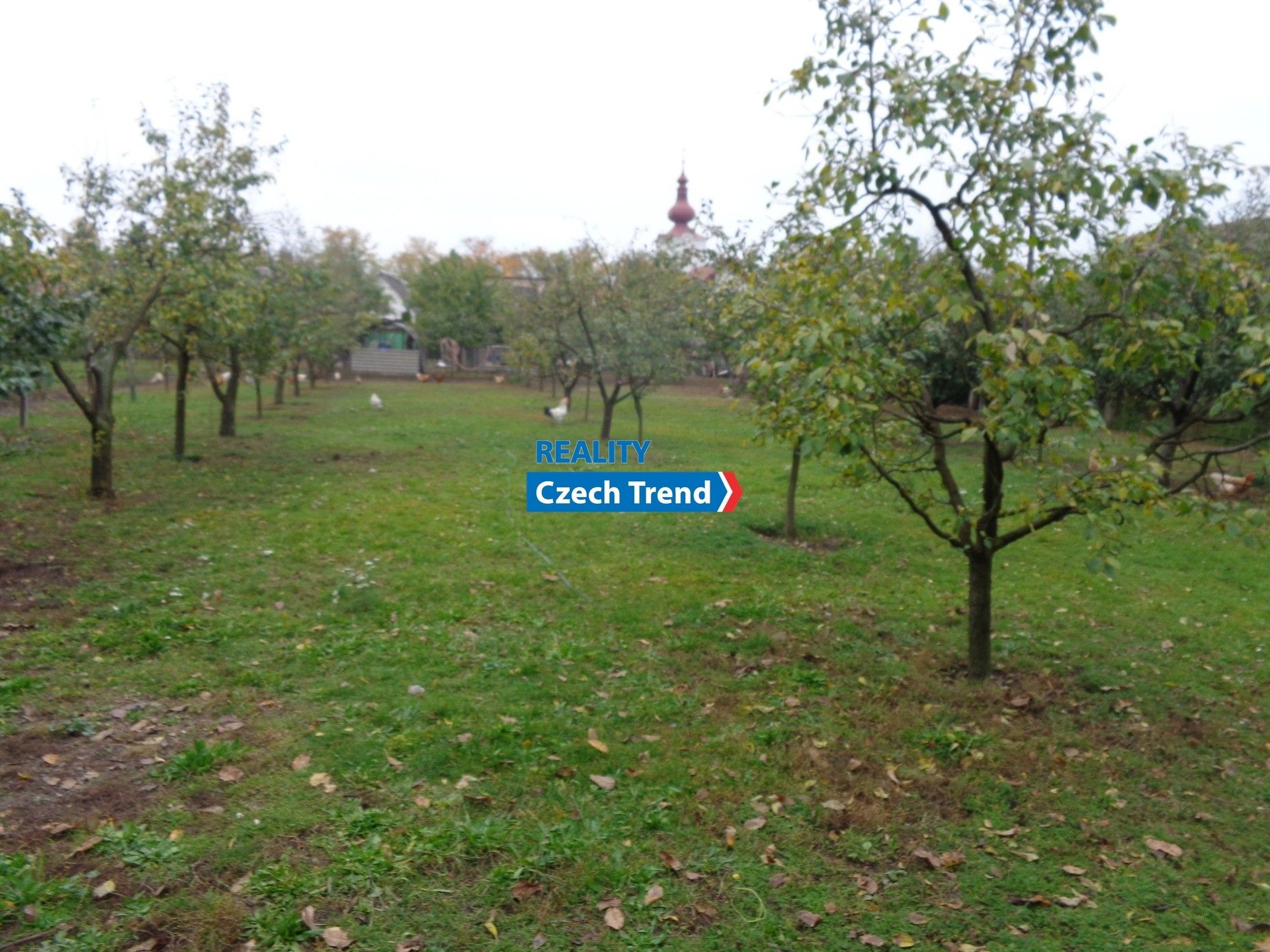 Prodej pozemku 990 m² - foto 1