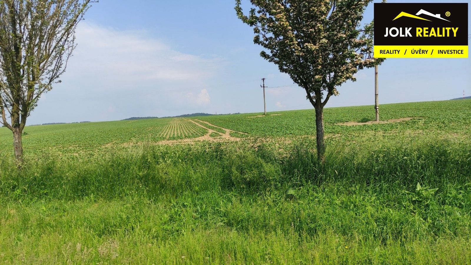 Prodej pozemku 27729 m² - foto 3