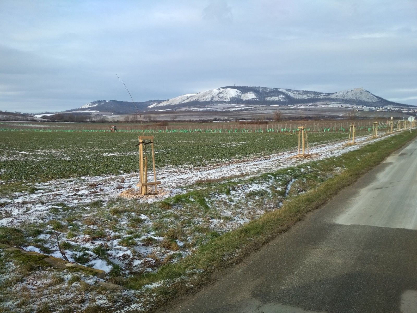 Prodej nemovitosti 29901 m² - foto 3
