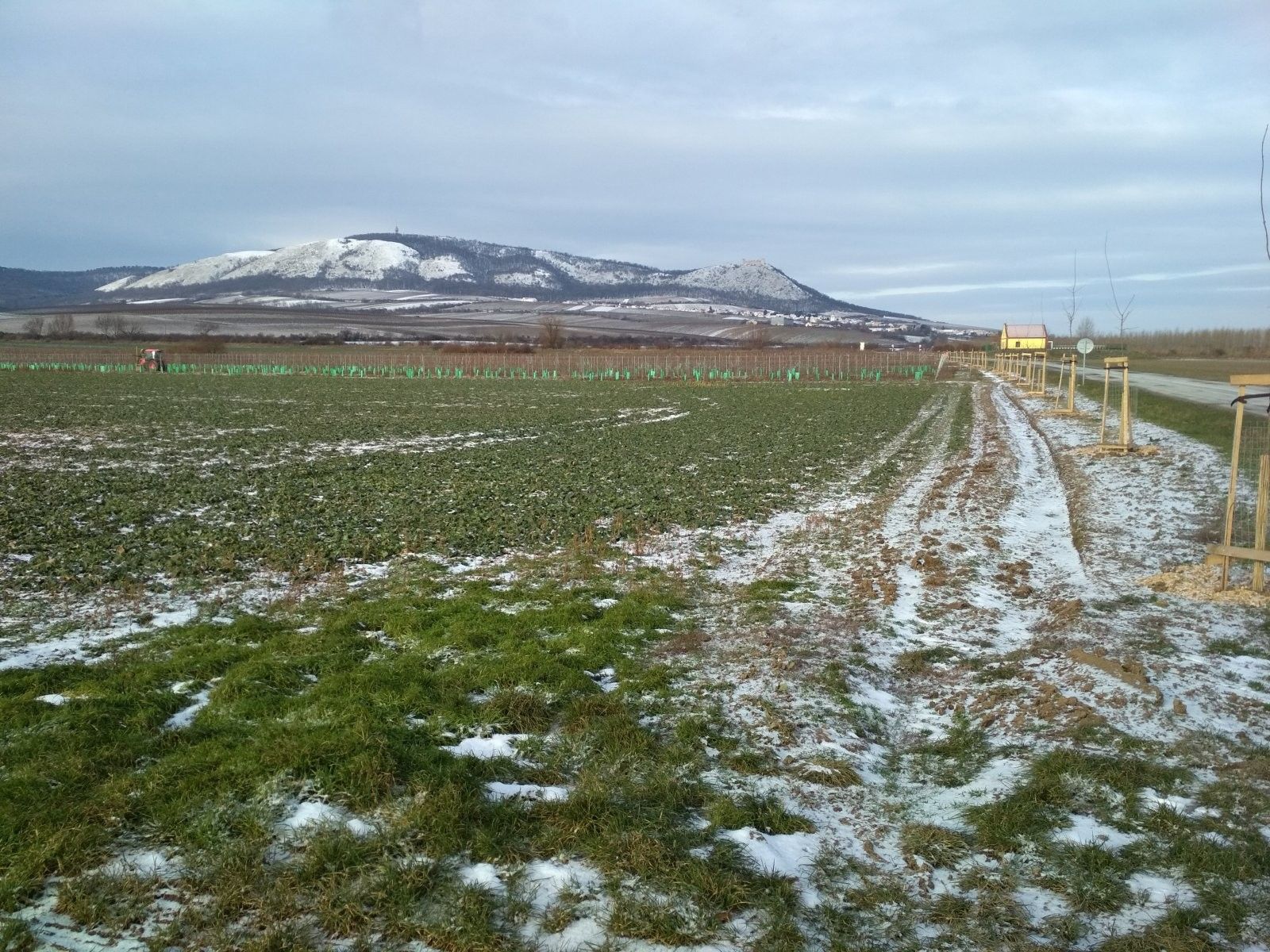 Prodej nemovitosti 29901 m² - foto 1