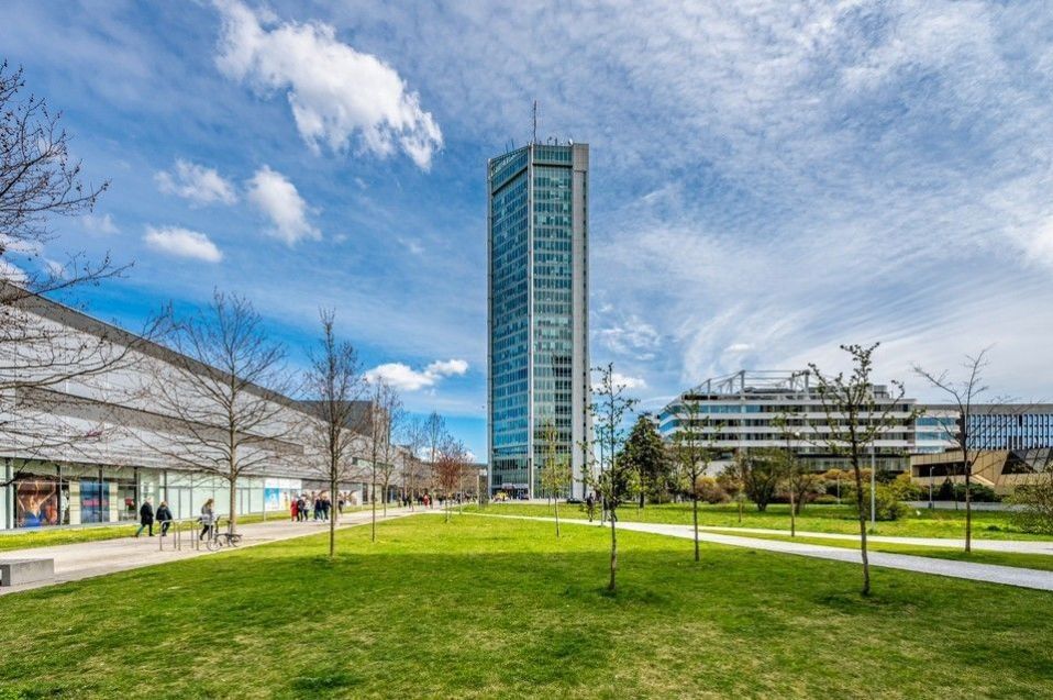Pronájem komerčního prostoru 266 m² - foto 1