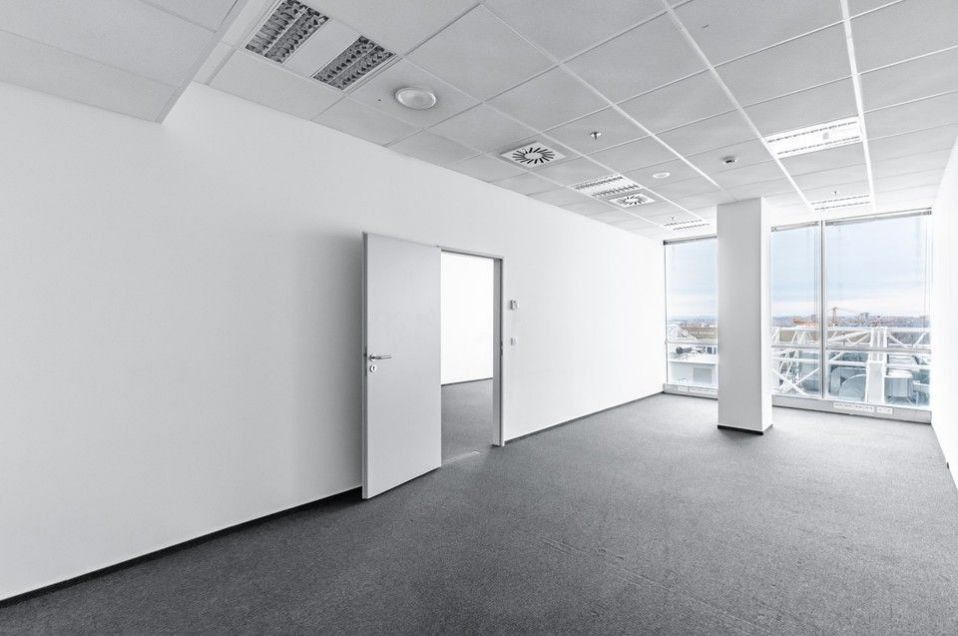 Pronájem komerčního prostoru 266 m² - foto 9