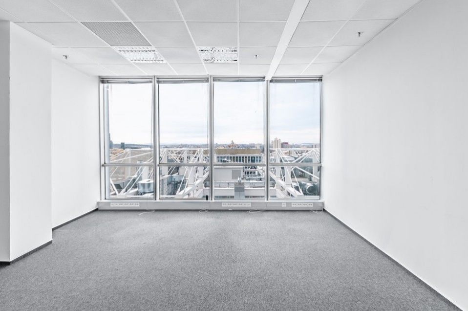 Pronájem komerčního prostoru 266 m² - foto 10