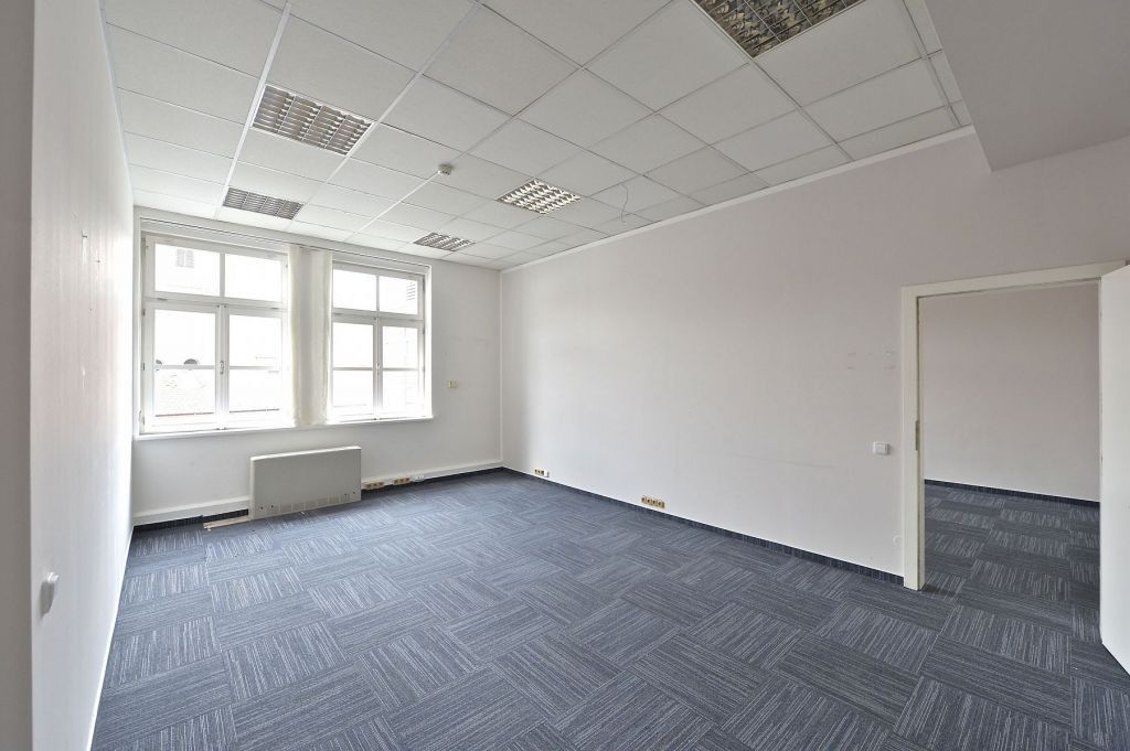 Pronájem komerčního prostoru 290 m² - foto 6