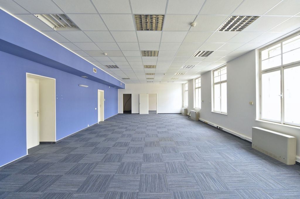 Pronájem komerčního prostoru 290 m² - foto 5