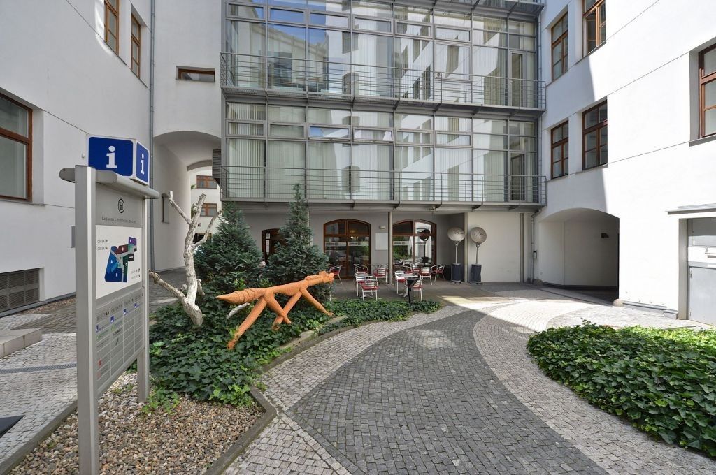 Pronájem komerčního prostoru 290 m² - foto 4
