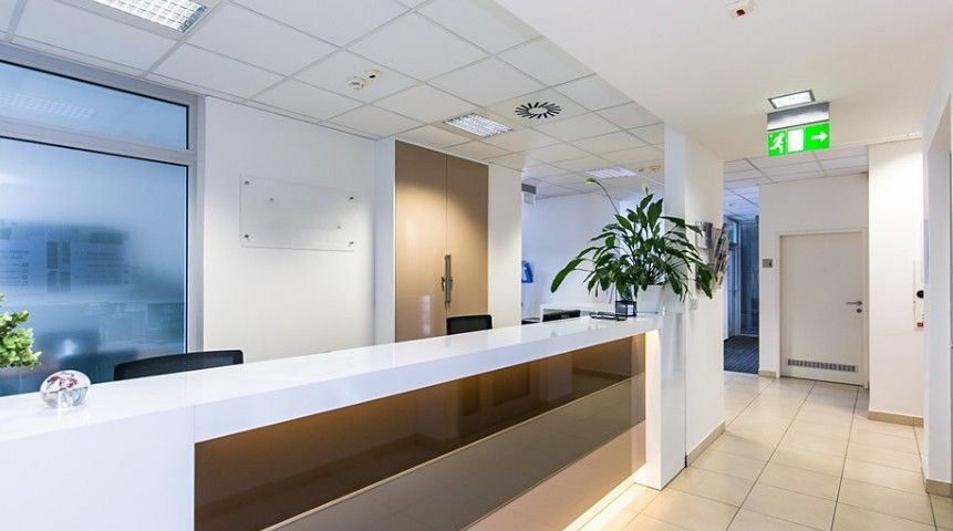 Pronájem komerčního prostoru 264 m² - foto 6