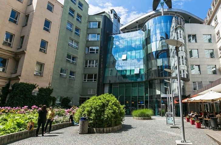 Pronájem komerčního prostoru 264 m² - foto 3