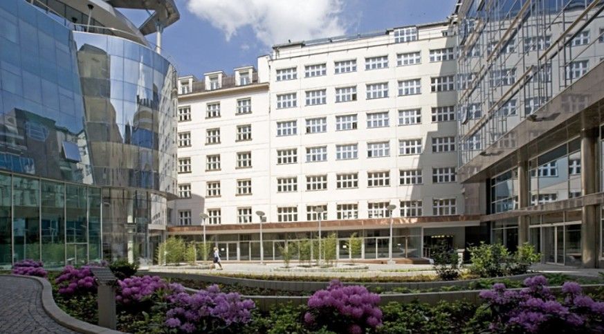 Pronájem komerčního prostoru 264 m² - foto 11
