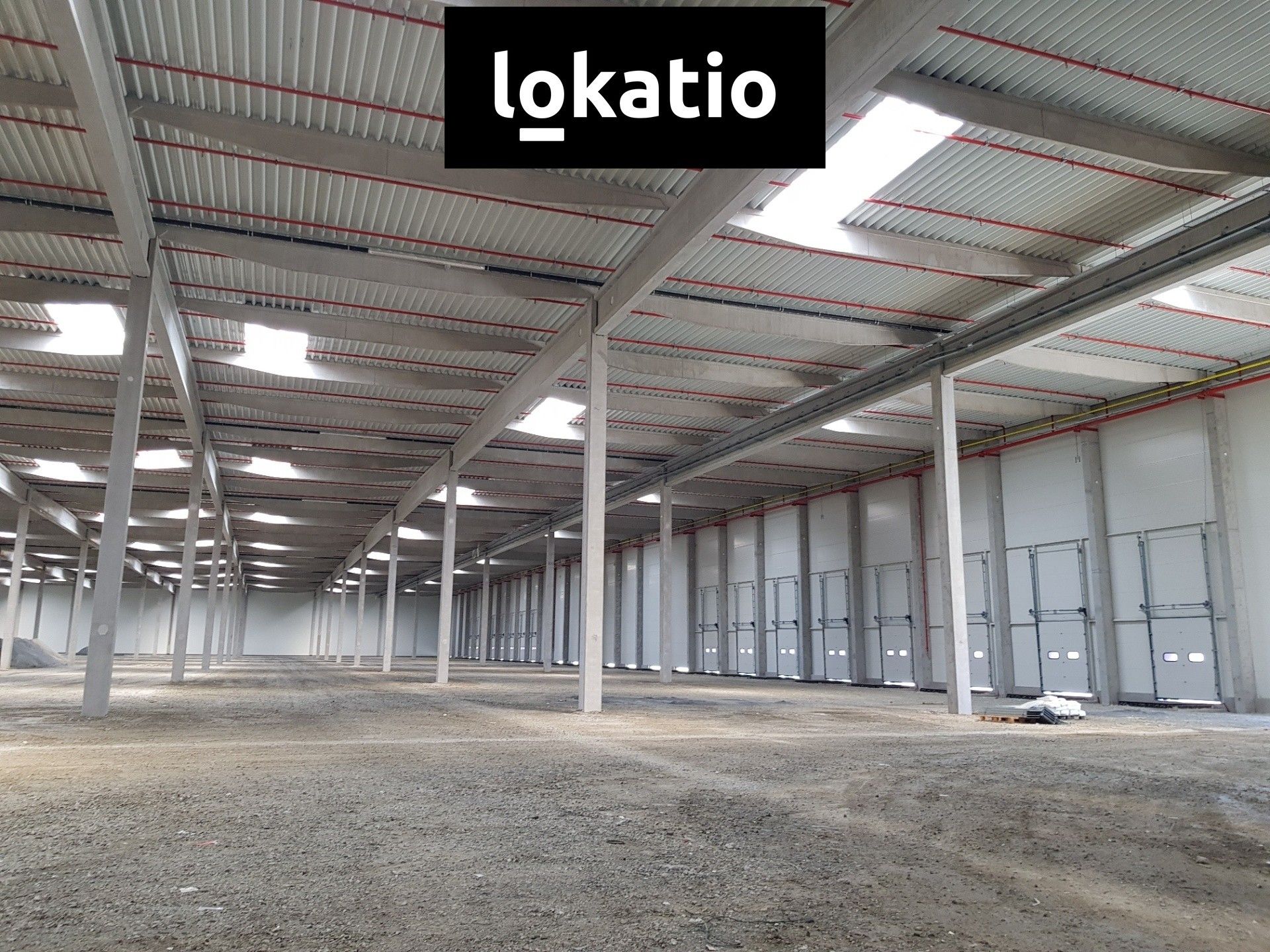 Pronájem komerčního prostoru 3456 m² - foto 5