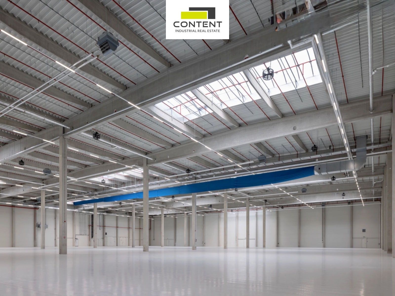 Pronájem komerčního prostoru 5000 m² - foto 4