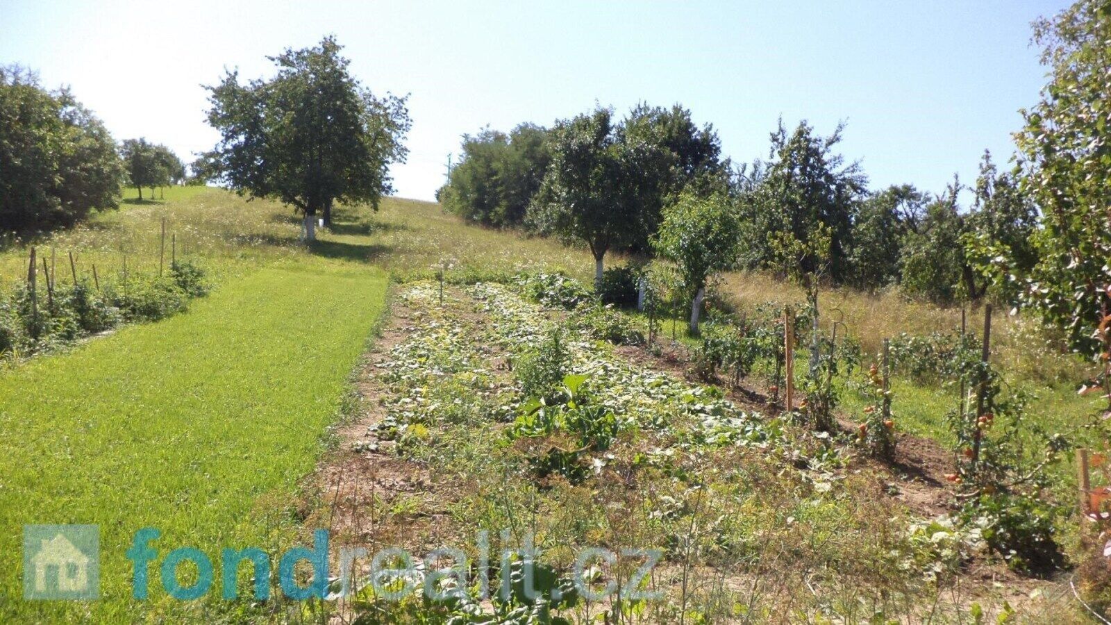 Prodej nemovitosti 10906 m² - foto 4
