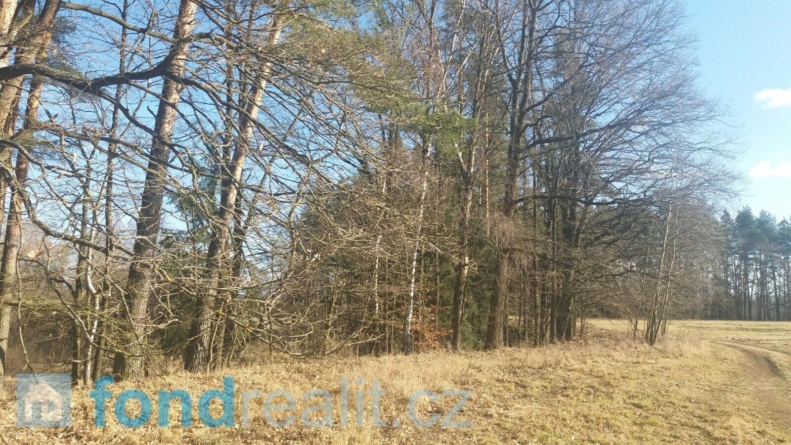 Prodej nemovitosti 10115 m² - foto 3