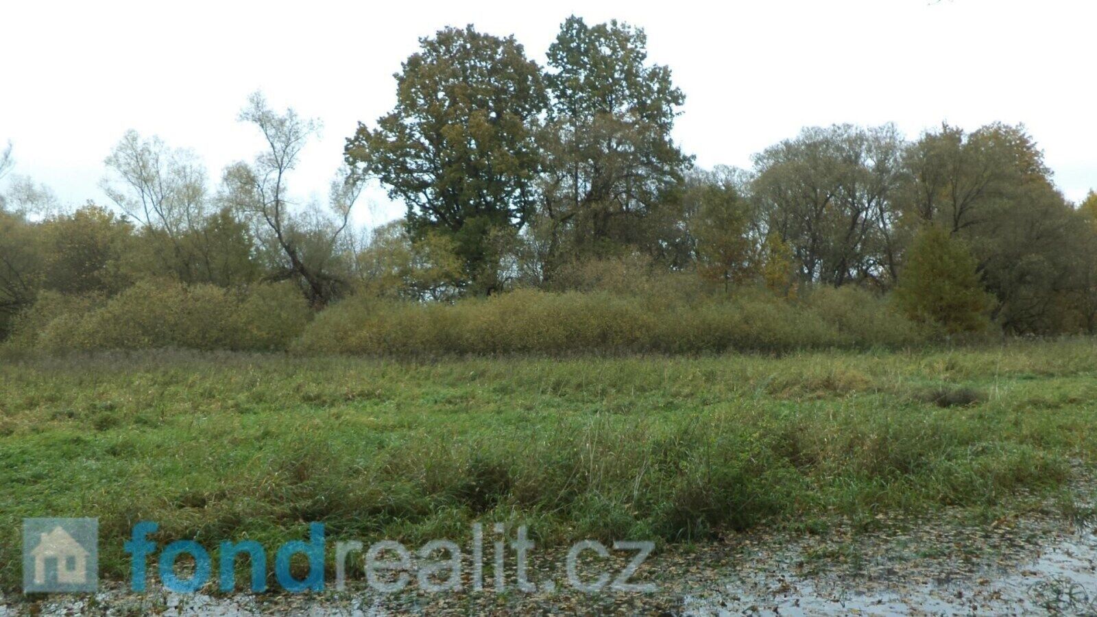 Prodej nemovitosti 10115 m² - foto 4