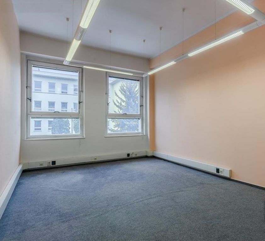 Pronájem komerčního prostoru 50 m² - foto 1