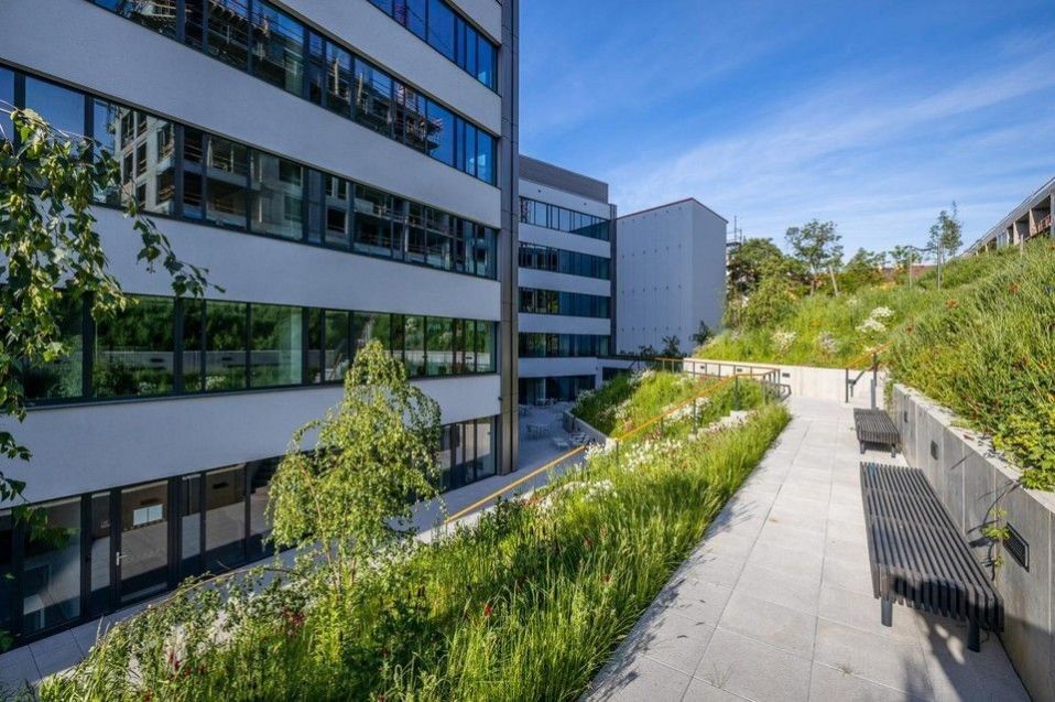 Pronájem komerčního prostoru 60 m² - foto 3