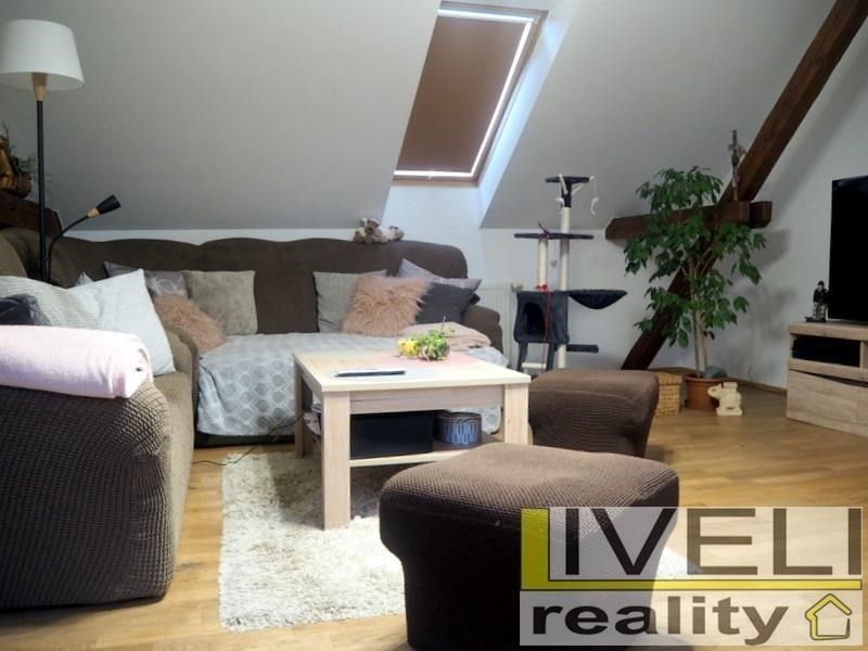 Prodej domu 450 m² - foto 17