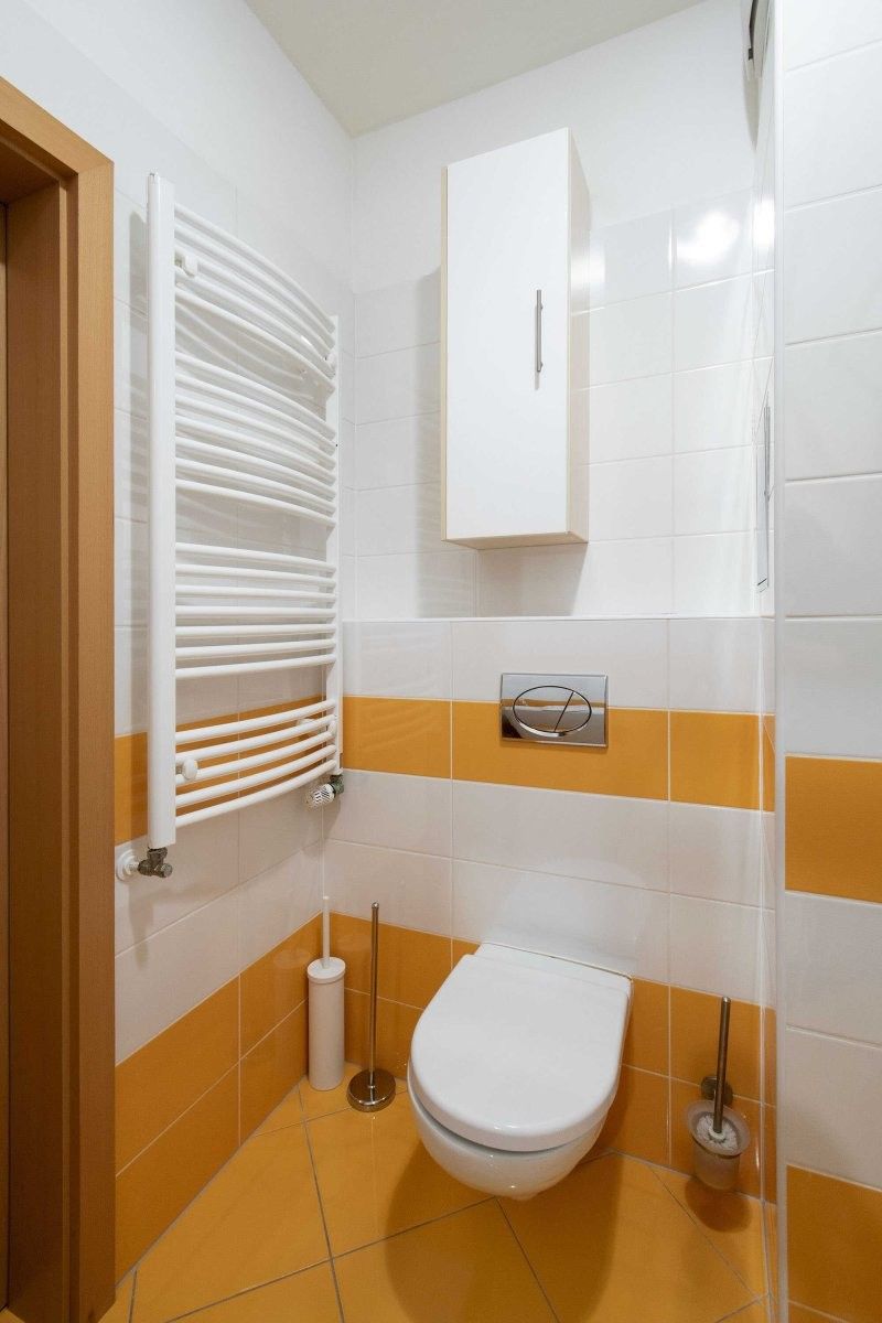 Pronájem bytu 1+kk 40 m² - foto 10