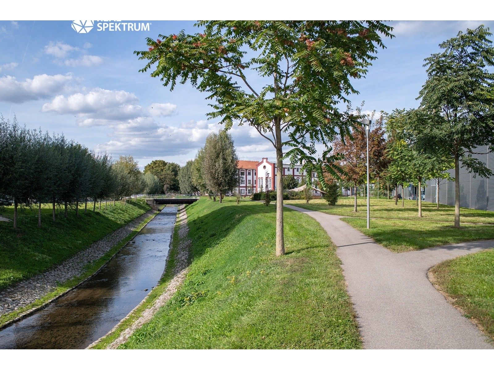 Pronájem komerčního prostoru 765 m² - foto 6
