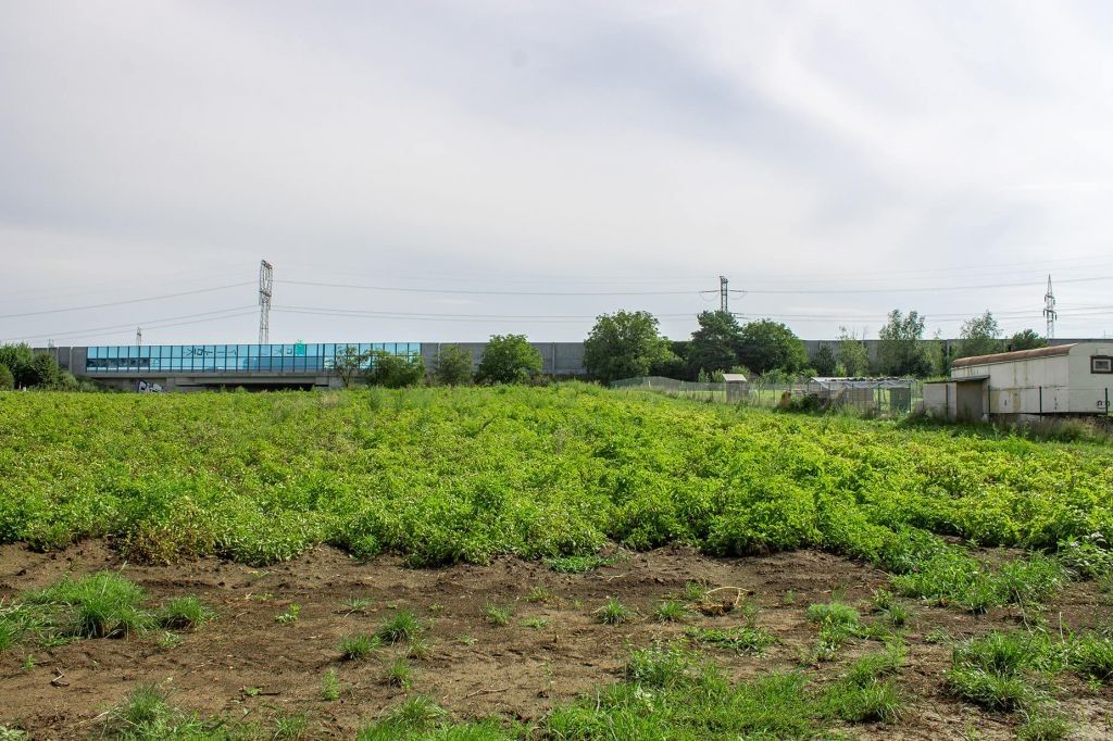 Prodej pozemku 1792 m² - foto 3