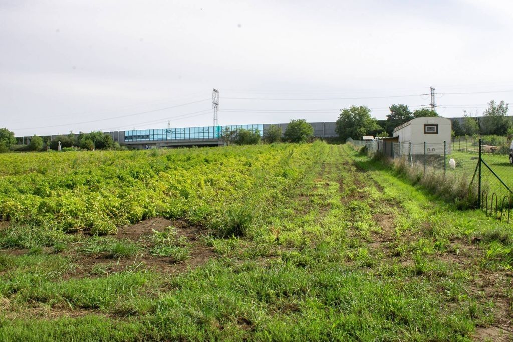 Prodej pozemku 1792 m² - foto 7