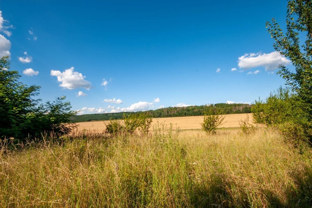 Prodej pozemku 1848 m² - foto 8