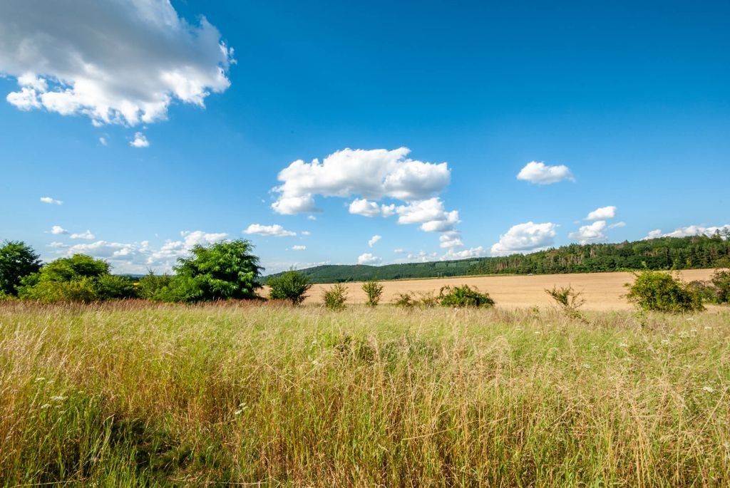 Prodej pozemku 1848 m² - foto 5