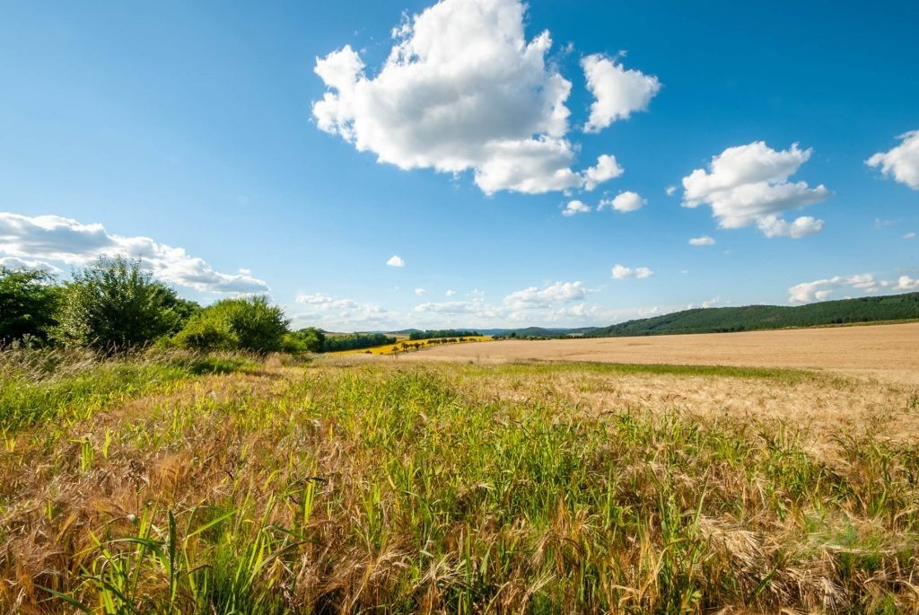 Prodej pozemku 1848 m² - foto 6