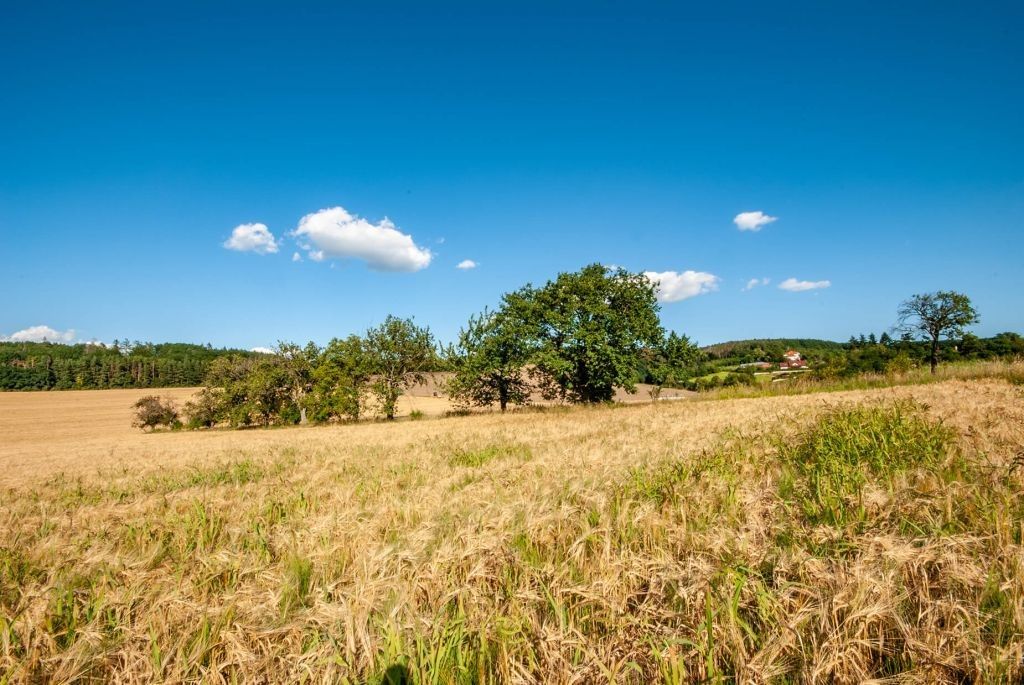 Prodej pozemku 1848 m² - foto 7