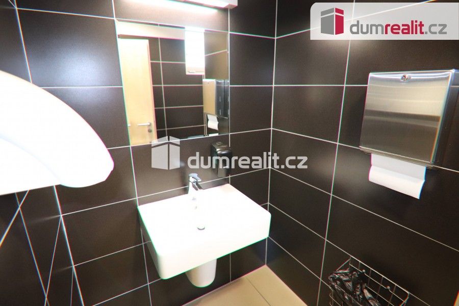 Pronájem komerčního prostoru 32 m² - foto 6