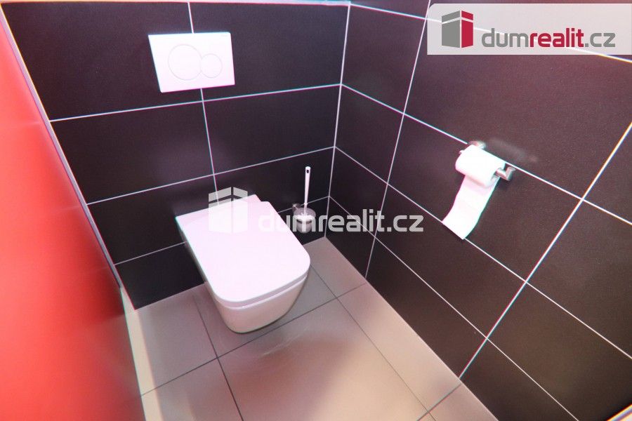 Pronájem komerčního prostoru 32 m² - foto 8
