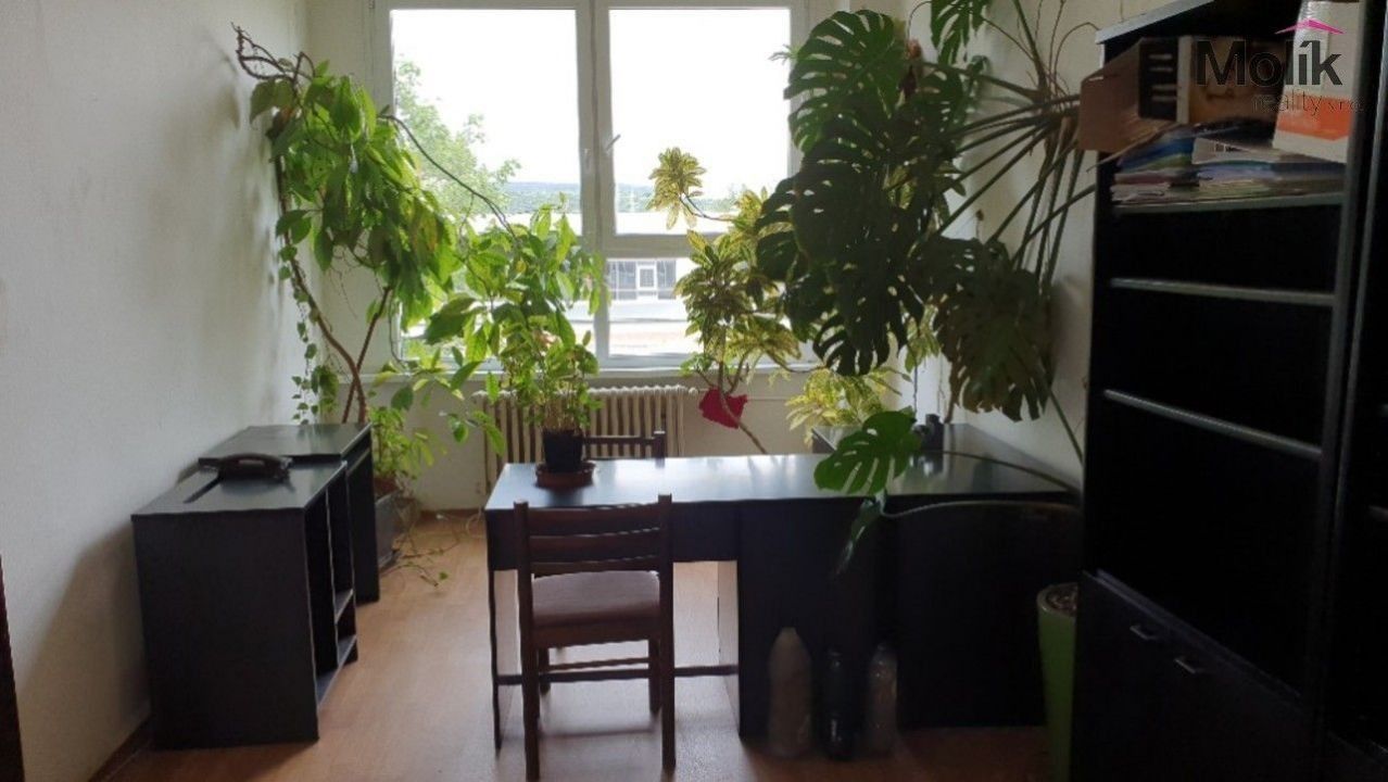 Pronájem komerčního prostoru 20 m² - foto 4