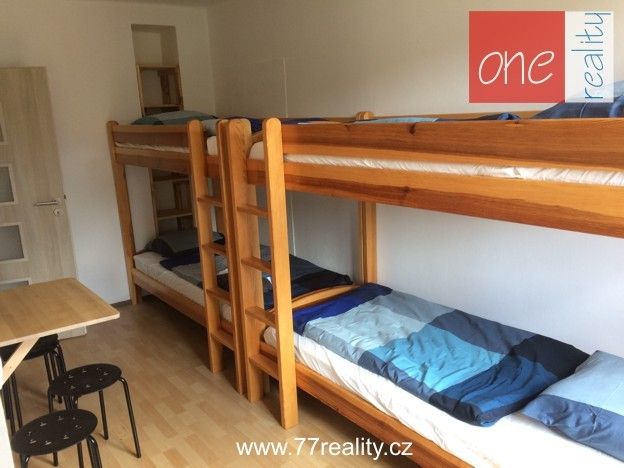 Pronájem bytu 1+kk 30 m² - foto 3